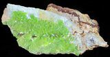 Pyromorphite Crystal Cluster - China #63690-2